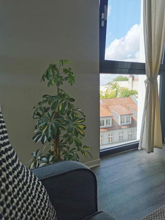 Ferienwohnung Havel Harmonie Βραδεμβούργο Εξωτερικό φωτογραφία